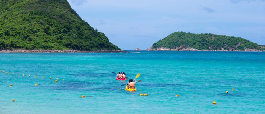เกาะแสมสาร 1 ใน 9 เกาะอนุรักษ์พันธุกรรมพืช | NavyLand