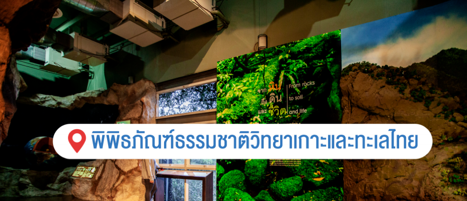 พิพิธภัณฑ์ธรรมชาติวิทยาเกาะและทะเลไทย
