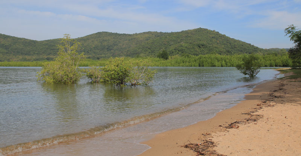 สะพานเดินศึกษาระบบนิเวศวิทยา หาดขลอด