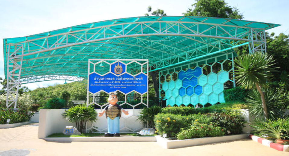 ศูนย์อนุรักษ์พันธุ์เต่าทะเลกองทัพเรือ บ่อเต่าสุดฮอตในสัตหีบ