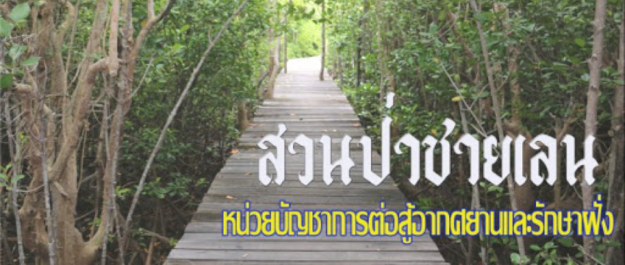 โรงเรียนศึกษาธรรมชาติป่าชายเลน ป้อมพระจุล