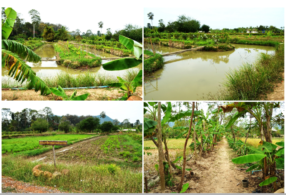 เรือหลวงจักรีนฤเบศร ผู้เป็นใหญ่ในราชวงศ์จักรี